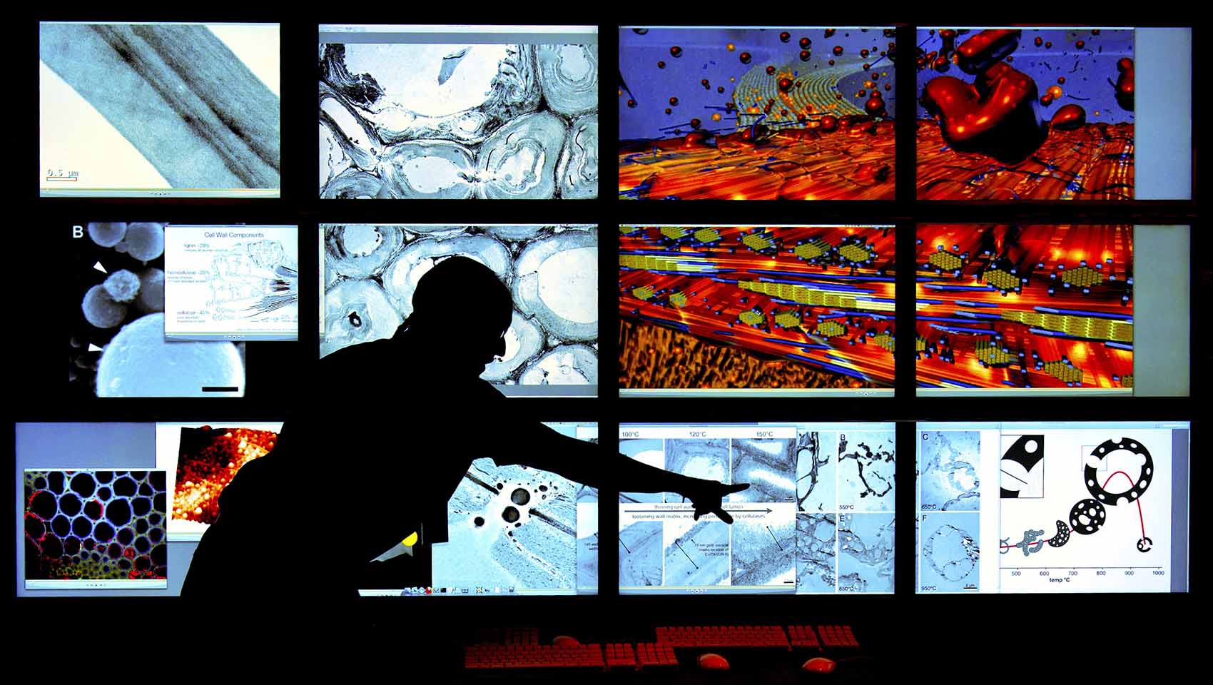 bioimaging-research-17879 A researcher presenting a chemical bioimaging visualization