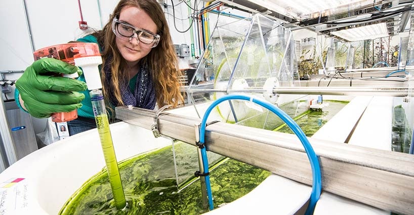 Researcher in lab.