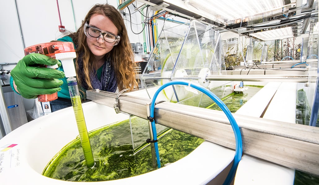 Researcher in lab.