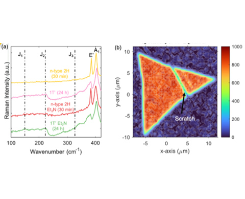 Charts showing Raman spectra of MoS2 monolayers immersed for different times in n-butyl lithium, and Raman mapping of the J2 mode (~225 cm-1) intensity extracted from 1T’ Et2N MoS2 measured in air.