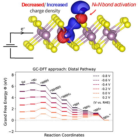 Theoretical insight into the effects of electrified interfaces for nitrogen reduction on 1T′-MoS2 sulfur vacancies.