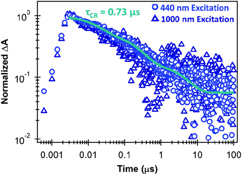 Chart showing carrier kinetics on the microsecond time scale