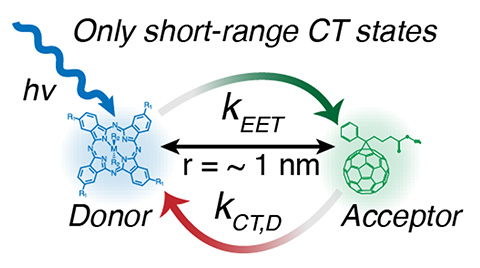 Excitation of a blue, donor sensitizer results predominantly in local energy transfer to the electron-accepting host and subsequently forms tightly bound charge-transfer (CT) states and not free carriers.