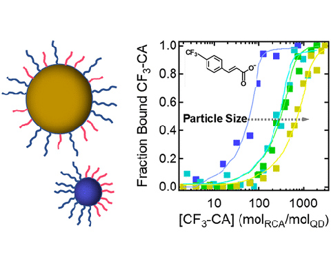 Chart showing particle size measurements of fraction bound CF3-CA