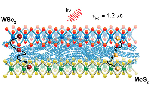 Schematic of the mixed-dimensionality hetero-trilayer composed of a thin film of SWCNTs between two monolayer semiconductors (WSe2 and MoS2).