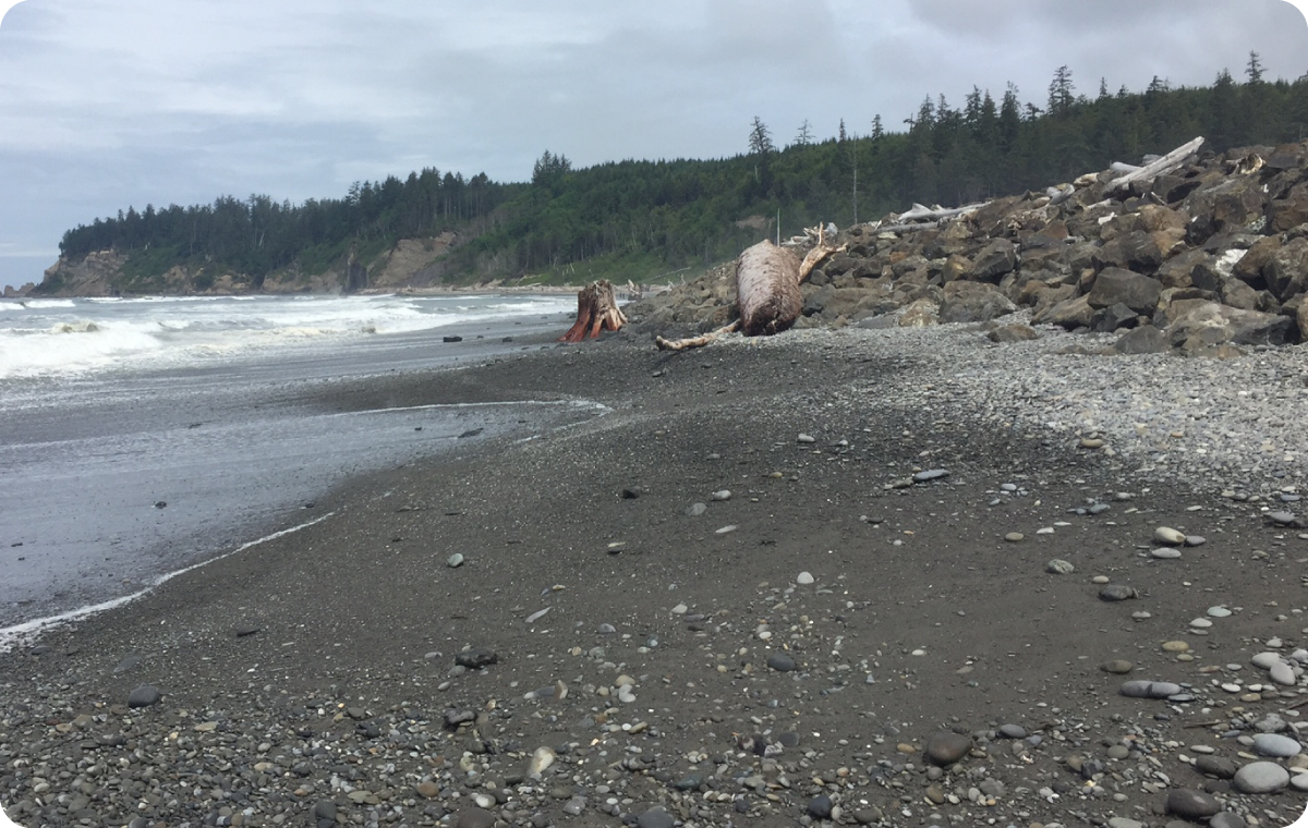 Landscape photo of a shoreline