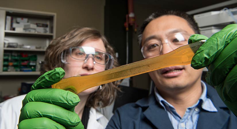 Two researchers looking at plastic.