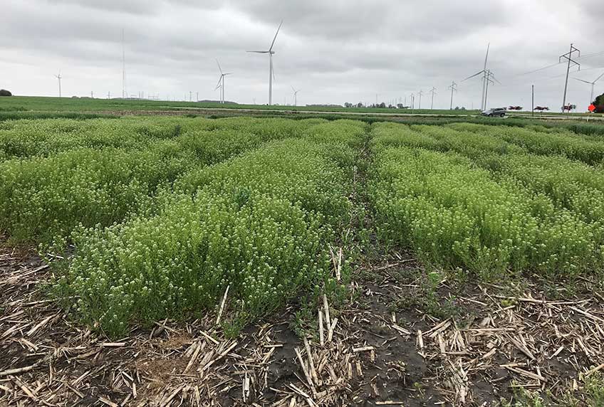 Continue reading about NREL Supports Agtech Innovation Through IN<sup>2</sup>
