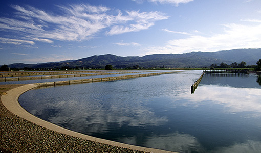 Continue reading about DOE Announces Phase 1 Water Resource Recovery Prize Winners; Tees Up Phase 2