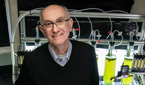 Continue reading about NREL-Developed Renewable Polyurethane Concept Takes Step Forward