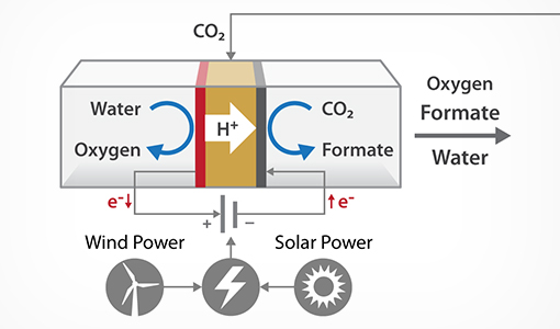 Continue reading about Scientists To Develop CO₂-Free Fermentation Technology Amid Surging Demand for Low-Carbon Biofuel