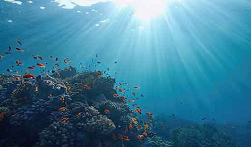 Continue reading about University Researchers Dive Into Water Desalination Challenge