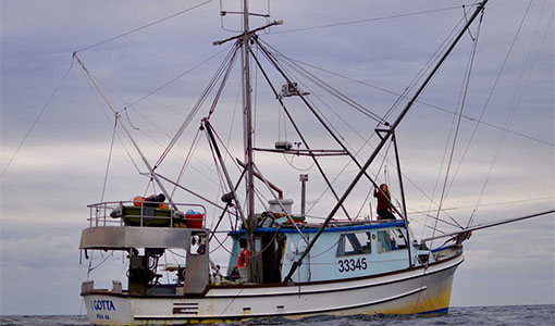 Continue reading about Battery-Electric Fishing Vessel Marks a Sea Change for Small Commercial Fishers