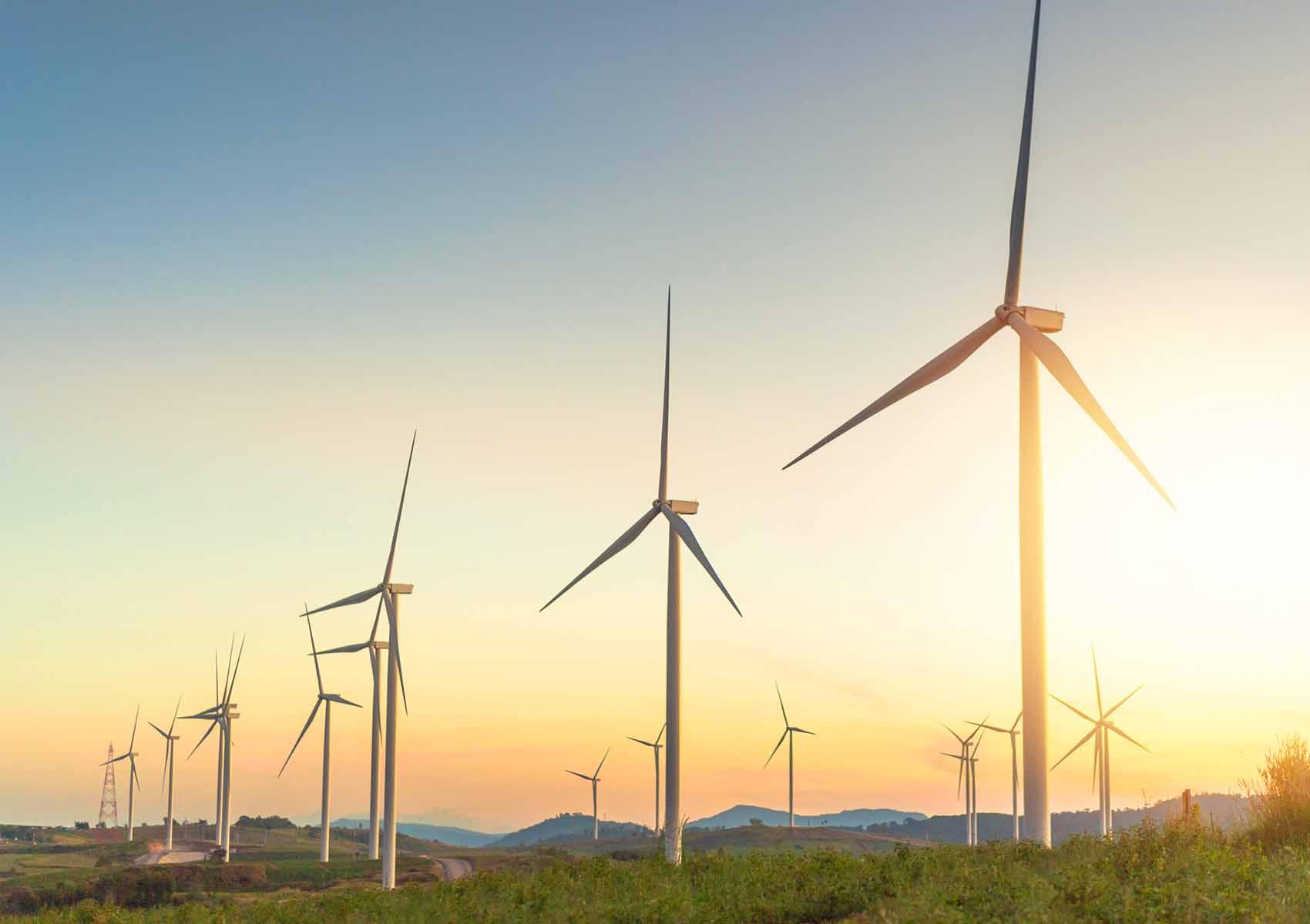 Wind turbines in a field