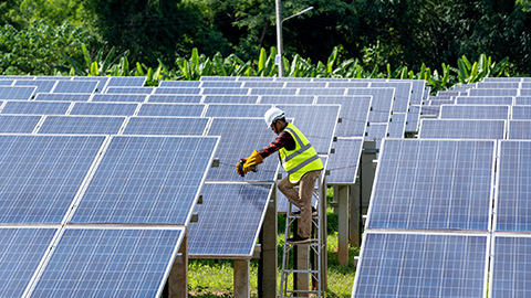 Person connects solar panel array outside.