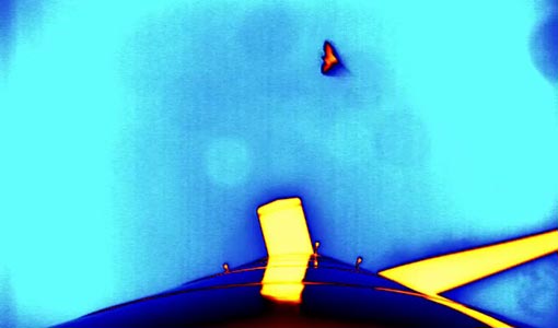 A colored silhouette of a bat in flight in the sky next to the colored shape of a wind turbine as viewed from the base of the tower.