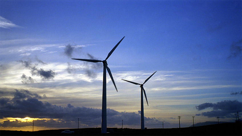 Wind farm at sunset