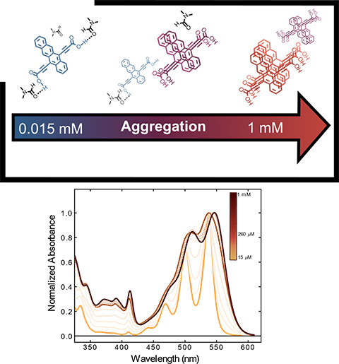 Cell structures showing Aggregation from 0.015 mM to 1 mM and a chart showing wavelengths (nm).