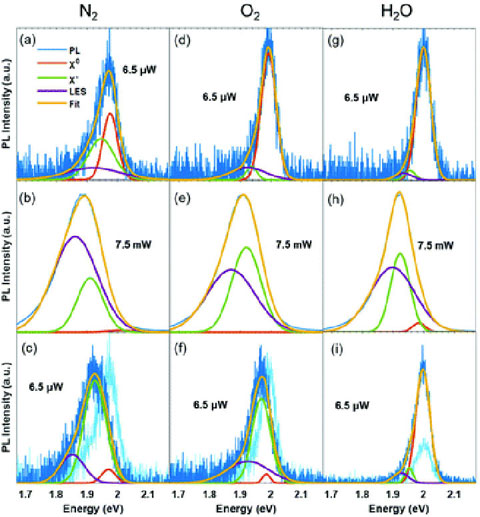 Chart images showing monolayer changes under different conditions