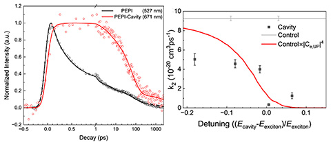 Left: coupling to a cavity leads to greatly increased excited state lifetimes Right: The decreased second order lifetime for exciton/exciton recombination is explained by the reduced time the exciton polariton spends as an exciton.