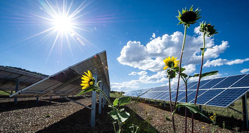 Photovoltaic Array